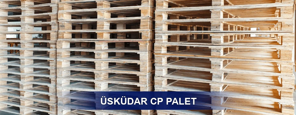 Üsküdar Standart Tipler