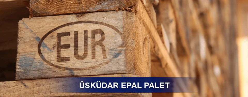 Üsküdar Standart Yapı